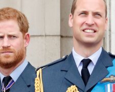Książę Harry i książę William/YouTube @Dla Ciekawskich