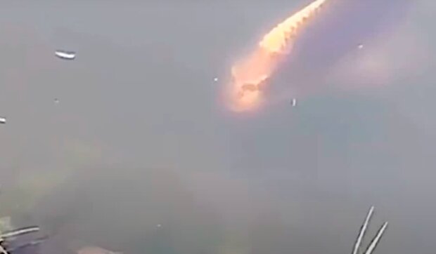 Niesamowite stworzenie! / YouTube:  Wiadomości