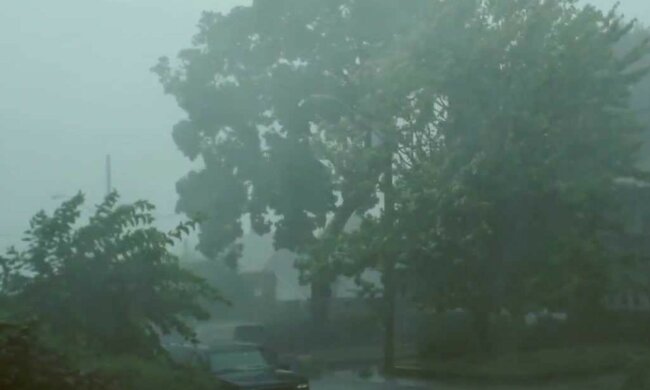 Burze/Youtube @NOVA PBS Official