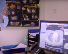 Eksperci nie mają wątpliwości / YouTube: DW Documentary