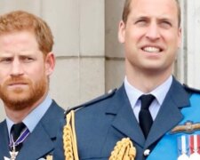 Książę Harry i Książę William screen YouTube