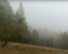 Pogoda nie będzie należeć do najprzyjemniejszych! / YouTube:  m s