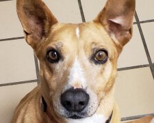 Baby Girl/ en.newsner.com