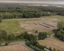 las Porszewice / YouTube: Bożena