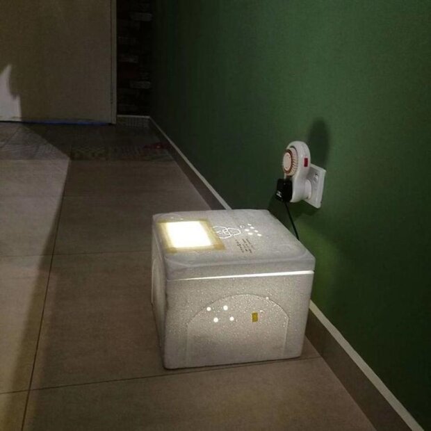 jajko w wietnamskiej restauracji, screen YT