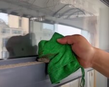 Zapuszczone mieszkanie, źródło: YouTube/ Yoha Home Cleaning