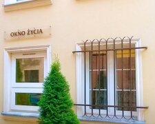 Okno życia / YouTube:   Plotki Gwiazdy