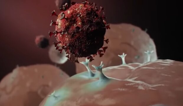 Koronawirus/ YouTube @Copernicus Center for Interdisciplinary Studies