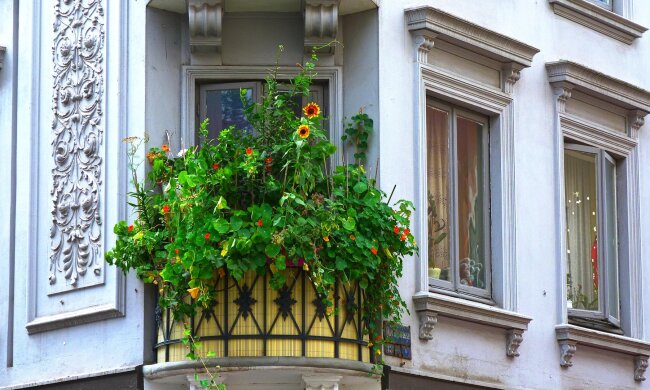Uważaj na balkonie w bloku. Jeden błąd może kosztować nawet 500 zł