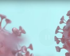 Koronawirus/ YouTube @WP