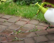 Ocet na chwasty/ YouTube @Mój piękny ogród