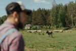 Rodzina wyśmiewała mojego ukochanego, bo był rolnikiem. Po latach wszyscy zaczęli zabiegać o jego zaproszenie