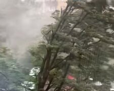 burza, screen Youtube @novy81