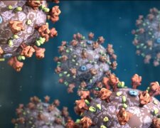 Koronawirus fot. Youtube