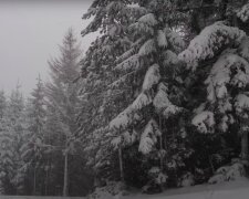 Czekają nas białe święta / YouTube:  Relaxing Sounds Of Nature