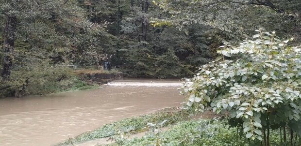 Rzeka. Źródło: youtube.com