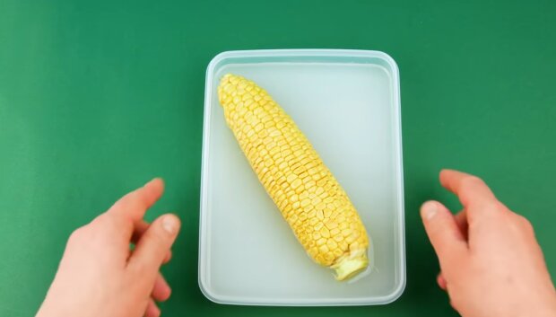 Kukurydza/ YouTube @Cleverly