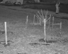 Przebrany za księdza mężczyzna @reporterwawa