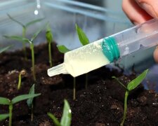 Skuteczny nawóz, screen YT