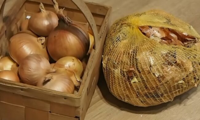 Cebula/YouTube @Modliszqa Ogród na ugorze Naturalnie