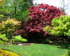 Jak urządzić piękny ogród? / YouTube: Garden Splendor® Plants