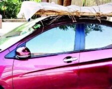 Mężczyna przewozi ciało ojca samochodem/ Twitter @Zoom News