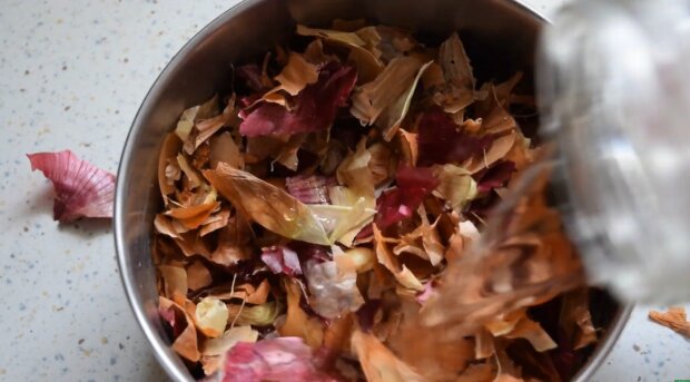 Wywar z cebuli/YouTube @Mój ogrodnik