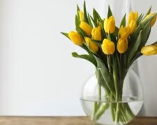 Tulipany/ YouTube @Health & Fitness