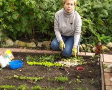 inwazja ślimaków, screen YT