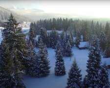 Jest szansa na białe święta? / YouTube:  proformak