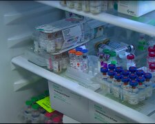 Kolejne przypadki wścieklizny! / YouTube:  polsatnews.pl