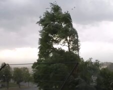 Wichura Nadia / screen yt