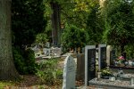 Administrator cmentarza zadzwonił, że ktoś chce zlikwidować rodzinny grób. Wszystkie dokumenty prowadziły do mojego syna