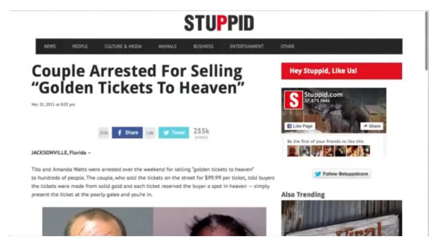 Tekst o parze sprzedającej złote bilety/YouTube @Men in the tub