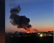 Łuck/YouTube @Onet News