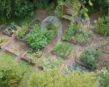 Ogród teściowej, źródło: YouTube/GrowVeg