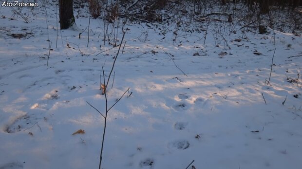 Śnieg. Źródło: Youtube AbcZabawa