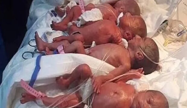 Dziewięcioraczki/YouTube @News Insider