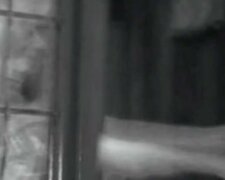 Duch na wideo?/Youtube @A Paranormal Experience