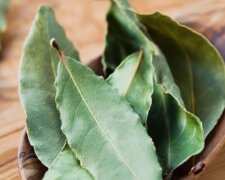 Liść laurowy/ YouTube @Domowe sposoby na zdrowie