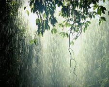 deszczowa pogoda / YouTube: Relaxing dreams