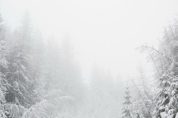 IMGW pokazuje wczesny scenariusz świąt 2025. Czy tym razem zobaczymy białą Wigilię