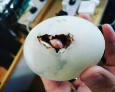 jajko w wietnamskiej restauracji, screen YT