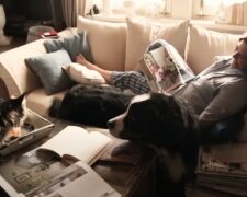 źródło: YouTube/Viva