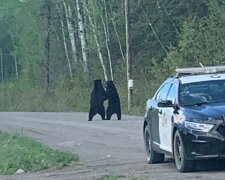Niesamowite zdjęcie/screen Facebook @Ontario Provincial Police - North West Region