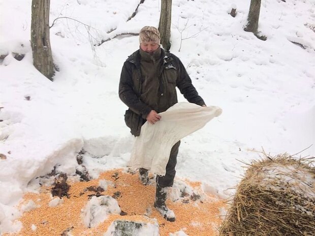 Leśniczy, screen YT