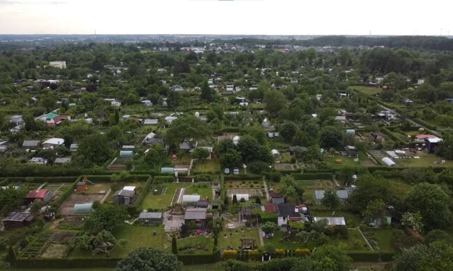 ROD, screen Youtube @inspiracjeogrodowe3543