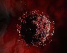 Koronawirus/ YouTube @Copernicus Center for Interdisciplinary Studies