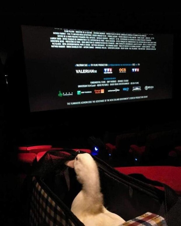 jajko w wietnamskiej restauracji, screen YT