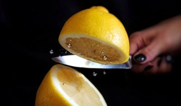 Cytryna. Źródło: instagram.com